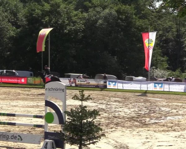 Reitturnier Halver 2018