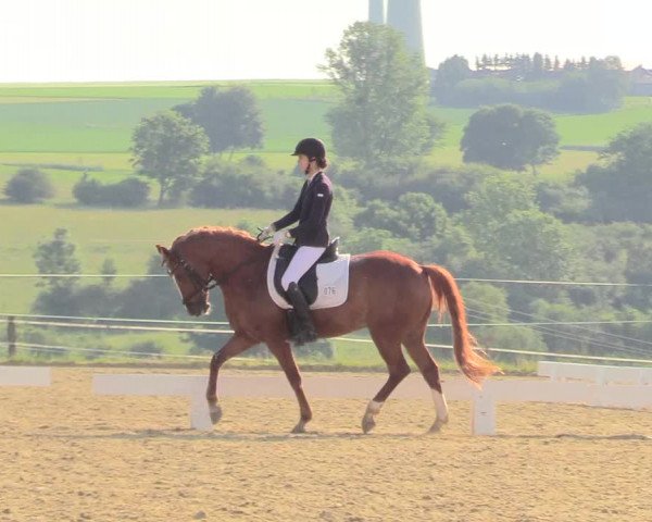 Reitturnier Brilon 2018