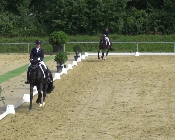Reitturnier Ladenburg 2018