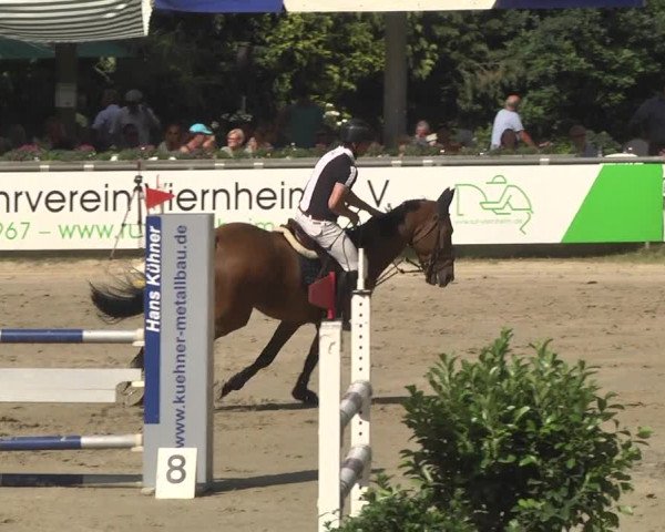 Reitturnier Viernheim 2018
