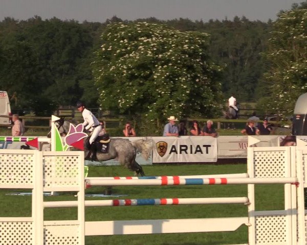 Reitturnier Schillerslage 2018