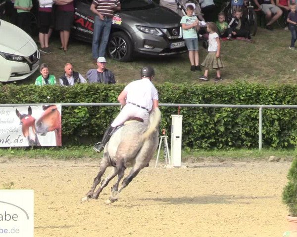 Kiersper Reitertage 2018