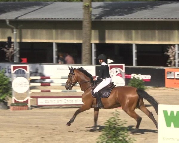 Reitturnier Viernheim 2018