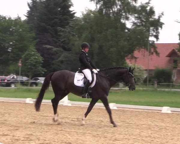 Reitturnier Hille 2018