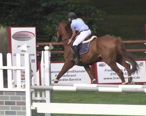 Reitturnier Legelshurst 2018