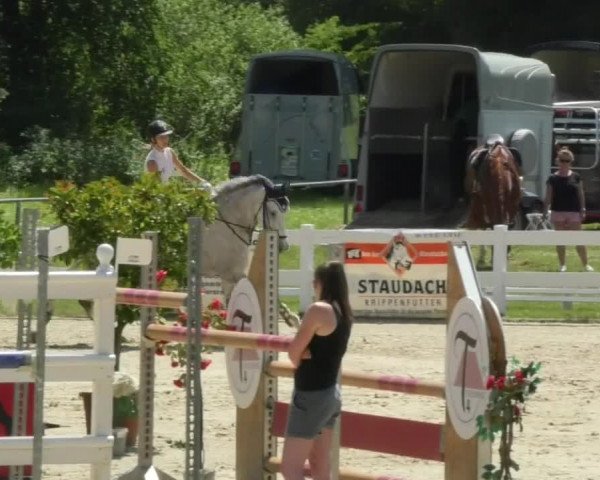 Reitturnier Isny-Rohrdorf 2018