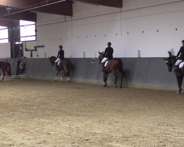 Reitturnier Dortmund-Asseln 2018