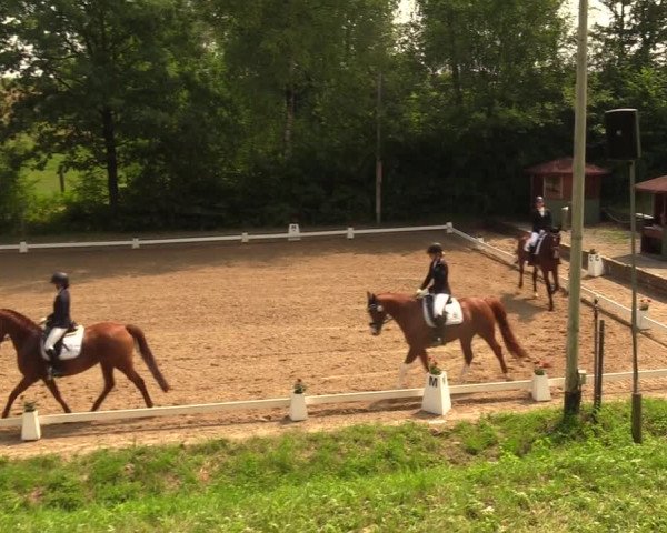 Reitturnier Erkrath - Uhlenhof 2018