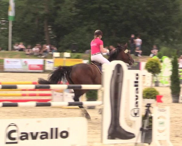 Reitturnier Detmold-Remmighausen 2018