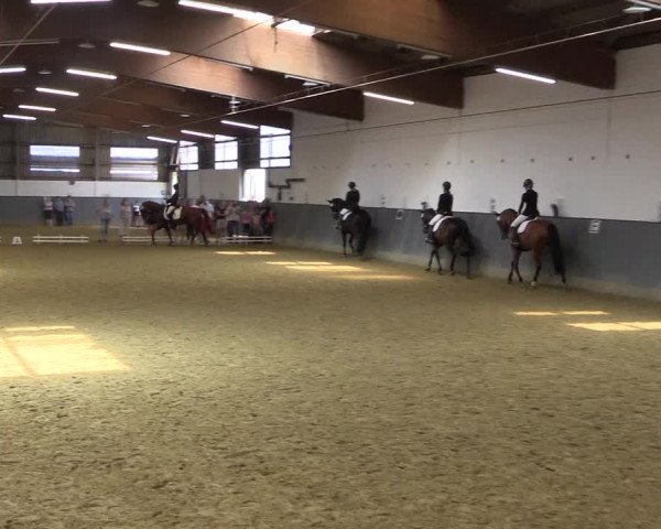 Reitturnier Dortmund-Asseln 2018