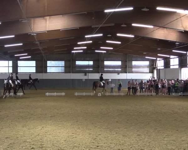 Reitturnier Dortmund-Asseln 2018