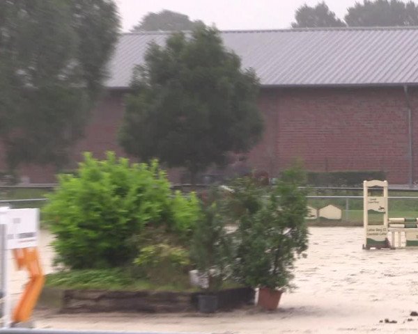 Reitturnier Coesfeld/Lette 2018