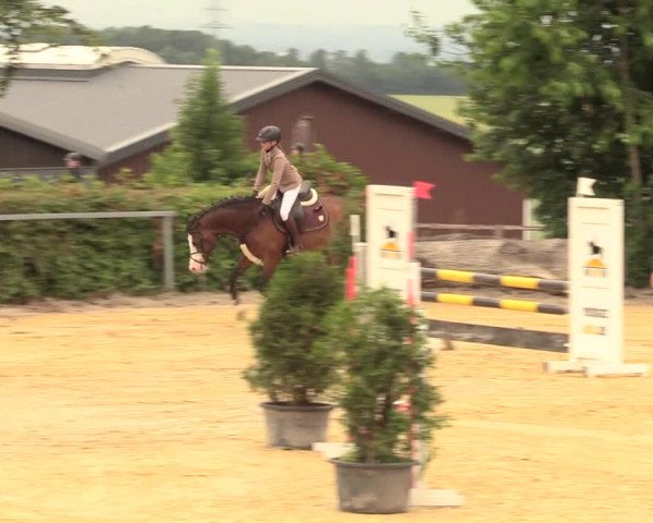 Reitturnier Fröndenberg 2018