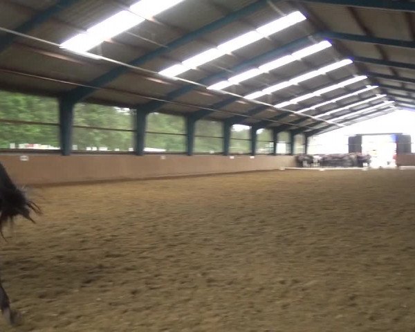 Reitturnier Remscheid, Buscher Hof 2018