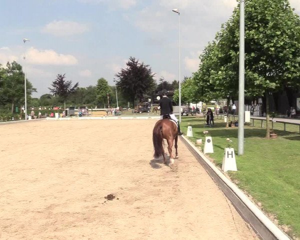 Reitturnier Fröndenberg 2018