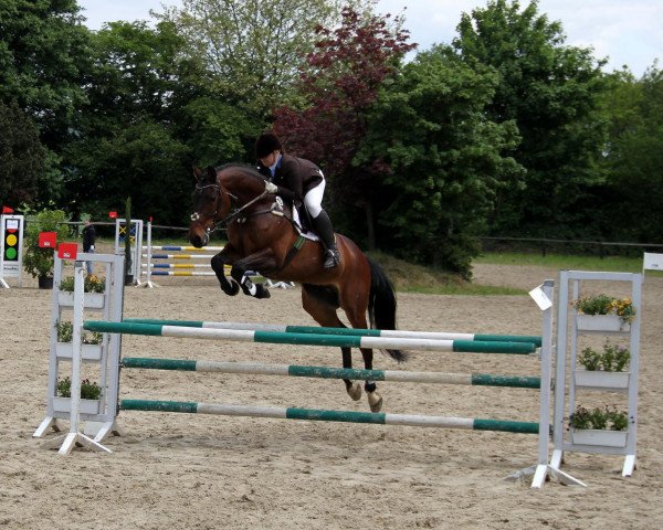 Springpferd Ready Made (Westfale, 2001, von Bmc Roman Nature)