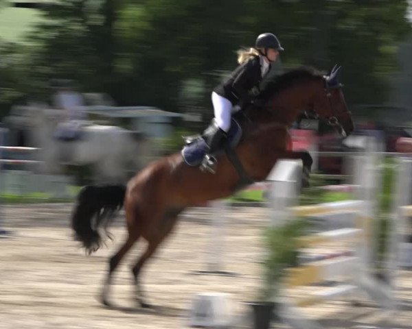Rottaler Pferdesporttage Buholz 2018
