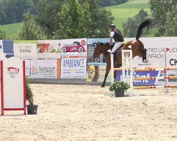 Rottaler Pferdesporttage Buholz 2018