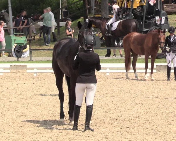 Reitturnier Fröndenberg 2018
