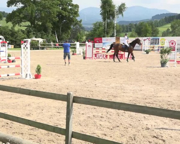 Rottaler Pferdesporttage Buholz 2018