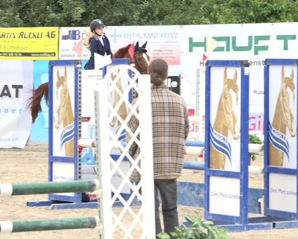 Rottaler Pferdesporttage Buholz 2018