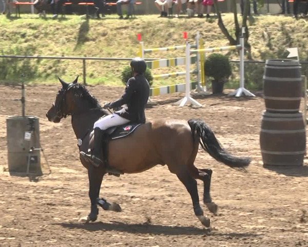 Reitturnier Wiesloch 2018