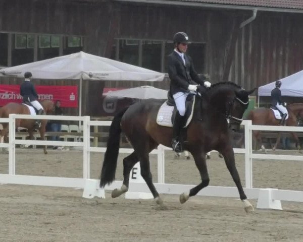 Reitturnier Pellheim-Gerblhof 2018