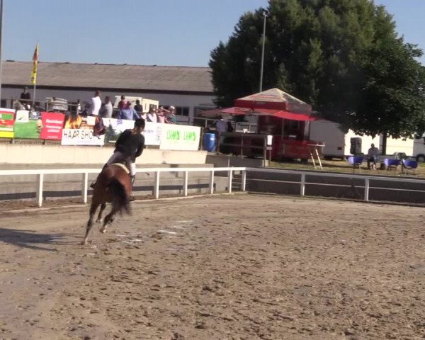 Reitturnier Melle-Ostenfelde 2018