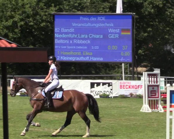 Reitturnier Delbrück-Ostenland 2018