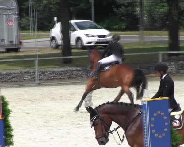 Reitturnier Ingolstadt-Hagau KPVI-Meisterschaft 2018