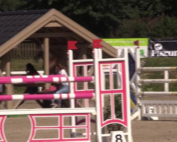 Reitturnier Melle-Ostenfelde 2018