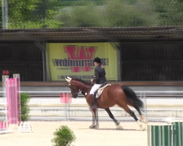 Reitturnier Ingolstadt-Hagau KPVI-Meisterschaft 2018