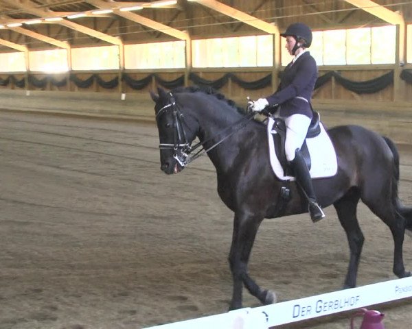 Reitturnier Pellheim-Gerblhof 2018