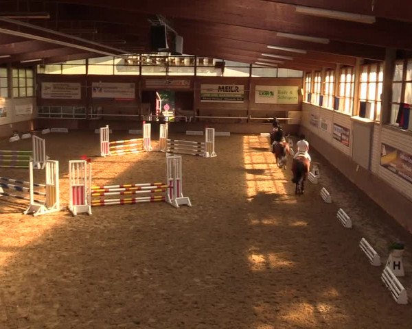 Reitturnier Delbrück-Ostenland 2018