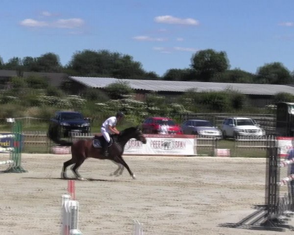 Reitturnier Schülp / Rendsburg 2018