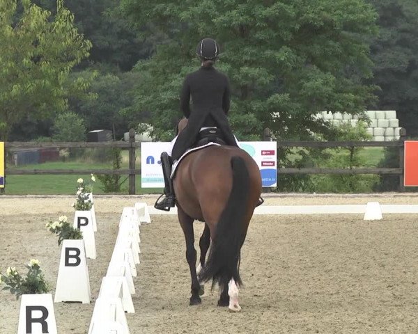 CDI**** Leudelange (LUX) 2018