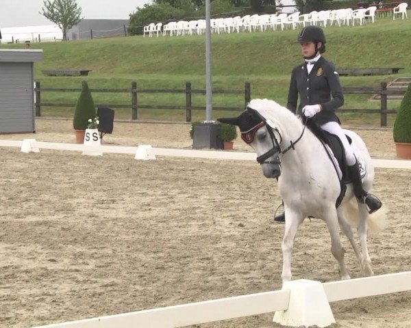CDI**** Leudelange (LUX) 2018