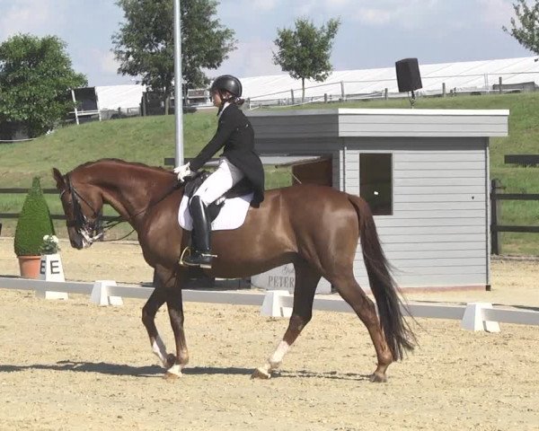 CDI**** Leudelange (LUX) 2018