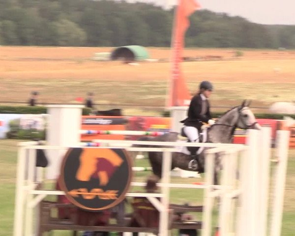 Reitturnier Ebreichsdorf 2018
