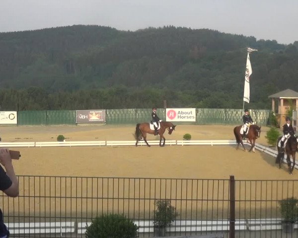 Reitturnier Lindlar-Süttenbach 2018