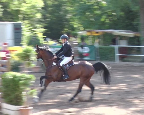 Reitturnier Prussendorf 2018