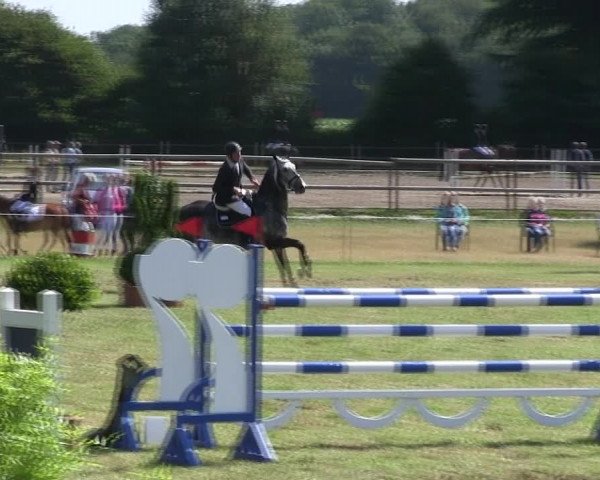 Reitturnier Hanerau-Hademarschen 2018