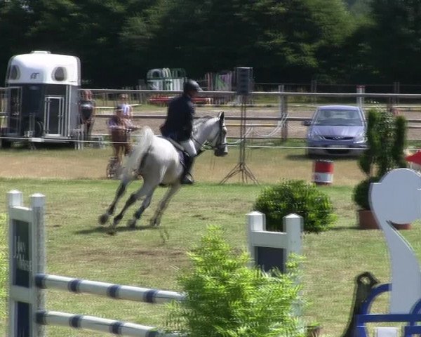 Reitturnier Hanerau-Hademarschen 2018