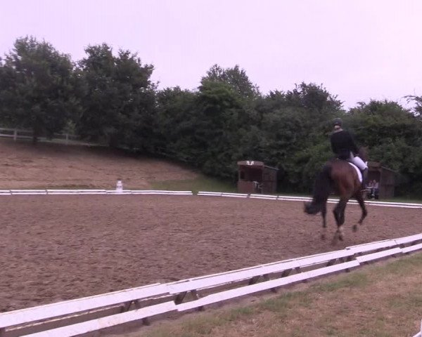 Reitturnier Vlotho-Exter 2018