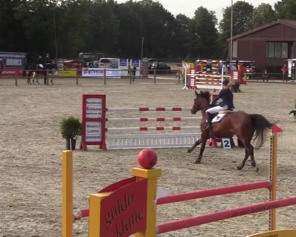 Reitturnier Wietmarschen 2018