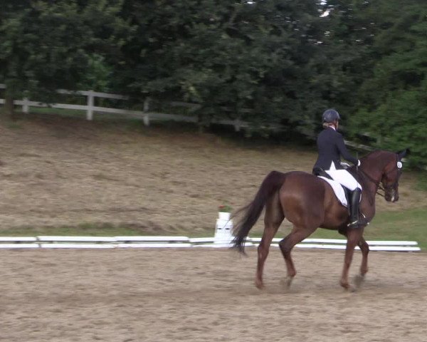 Reitturnier Vlotho-Exter 2018