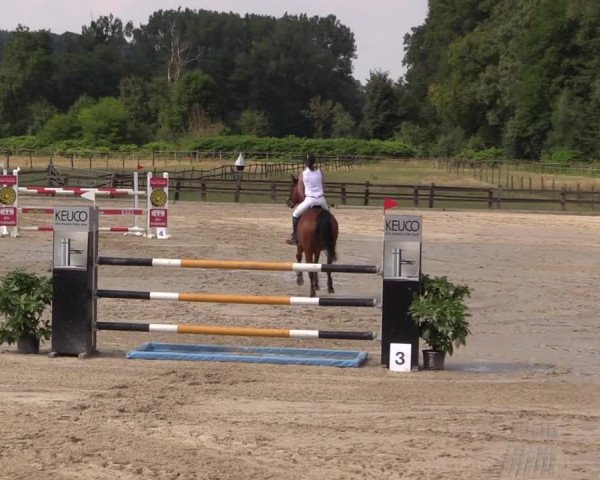 Reitturnier Hemer-Oese an der Edelburg 2018