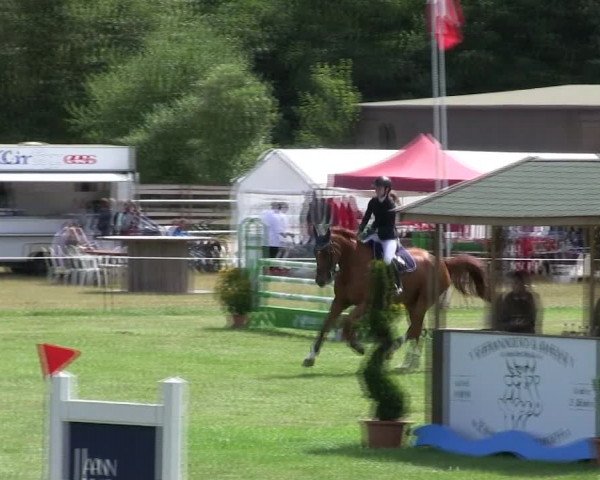 Reitturnier Hanerau-Hademarschen 2018