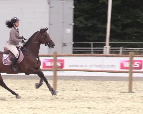 Reitturnier Wietmarschen 2018