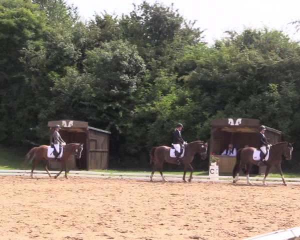 Reitturnier Vlotho-Exter 2018